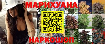 сатива Кумертау